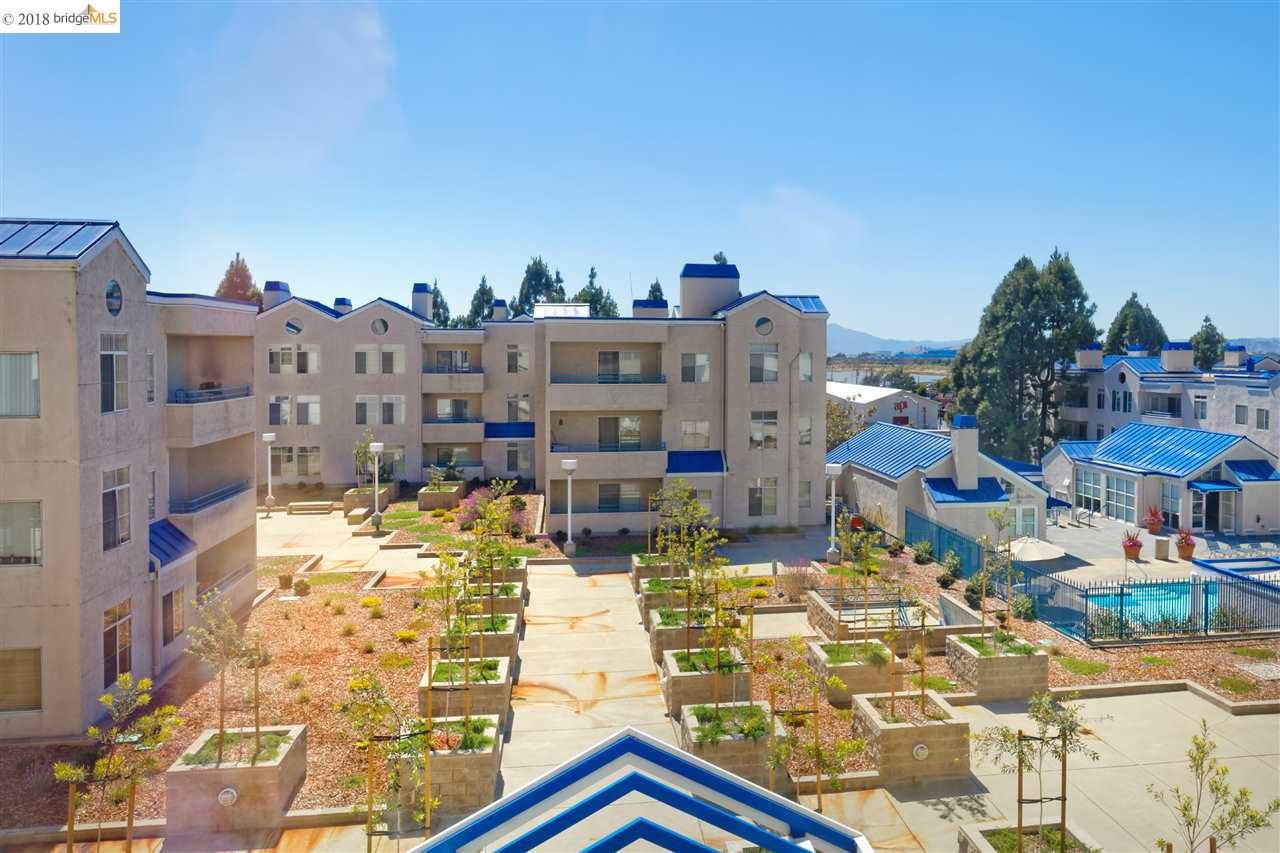 535 Pierce St 1204 Albany Ca 94706 569 900 Www Allaboutsiliconvalley Com Mls 40847184